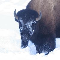 Paul J. Simoneau's profile image