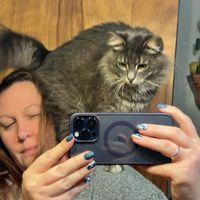 Holly Lang's profile image