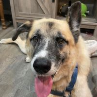 Kerry Lewis's profile image
