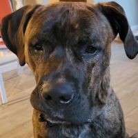 Brian Matuschek's profile image