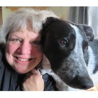 Judy Greek's profile image