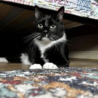 Donna Drury's profile image