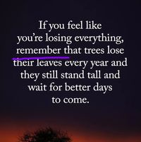 Sheryl Pierson's profile image