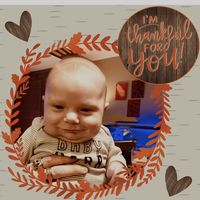 Veronica Shaughnessy's profile image