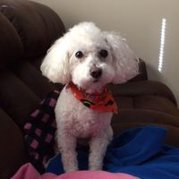 Nancy Turner's profile image