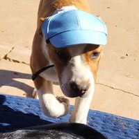 Melanie Carr Gambrell's profile image