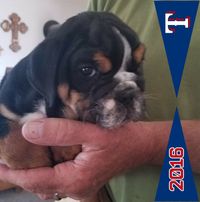 Kip Layne's profile image