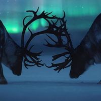 Lisa Schwartzbauer's profile image