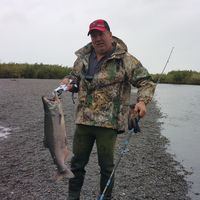 Ross D. Mark's profile image