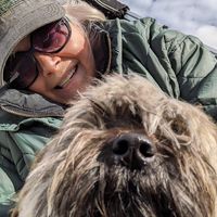 Andrea J. Albarado's profile image