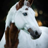 Sharon Marie's profile image