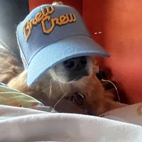 Dain Barsness's profile image