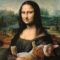 Rebecca Schumacher's profile image