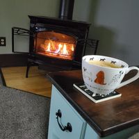 Shari Summers's profile image