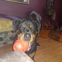 Ken Hintz's profile image