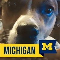 Samantha Nolen's profile image
