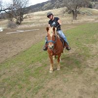 Debbie Pavone's profile image
