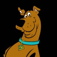 Sherrie Lewis's profile image
