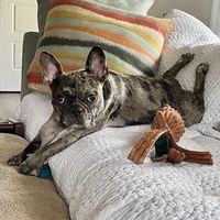 Phyllis Ladner's profile image