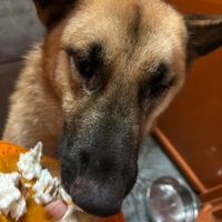 Chris Harford Finney's profile image