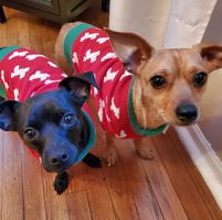 Nikki Carpenter's profile image