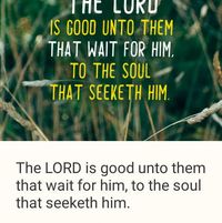 Fran Newville Stoeckel's profile image