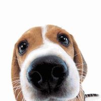 Susan Houston's profile image