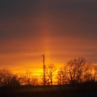 Nate Mace's profile image