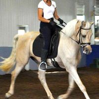 Renee Dreis DeRosier's profile image