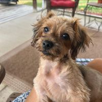 Diane Mendez-Chappell's profile image