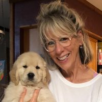 Maggie Crow's profile image