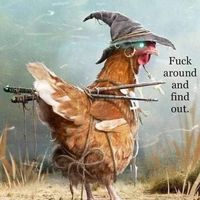 Sheri Dixon's profile image