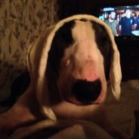 Theresa Scott's profile image