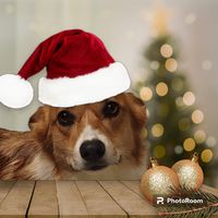 Jayde Rundle's profile image