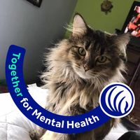 Mary Langkamp's profile image