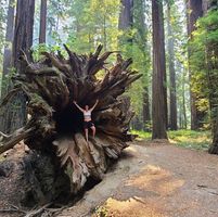 Amber Reisen's profile image