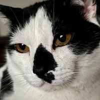 Angela Reiger's profile image