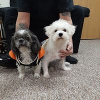 Dan Meier's profile image