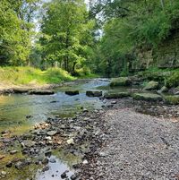 Tim Lyne's profile image