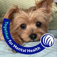 Jodi Wienkes's profile image