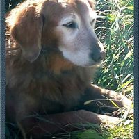 Bonnie Blake Partridge's profile image