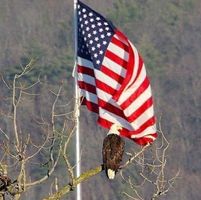 Bill Terriaco's profile image