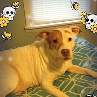 Ruby Klaas's profile image