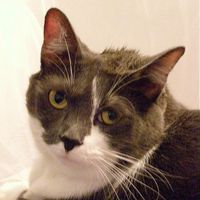 Coleen Trout's profile image