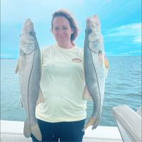 Nicole Sullivan's profile image
