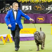 John Seibel's profile image