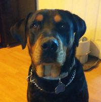 Patty Mannato's profile image