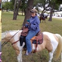 Donna Marsh's profile image