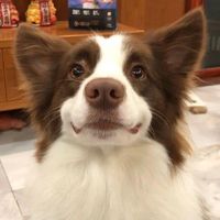 Eddie Garcia's profile image