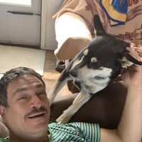 Luis Arsiaga's profile image